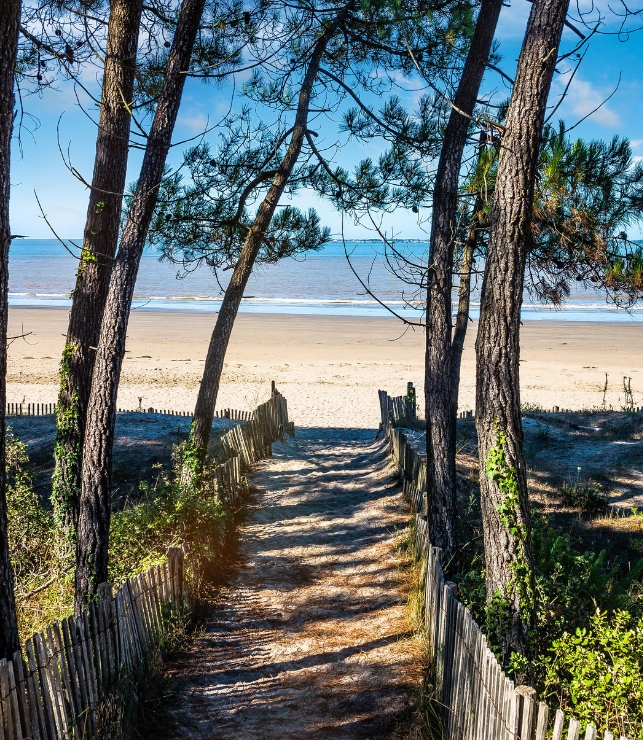 forest beach charente maritime