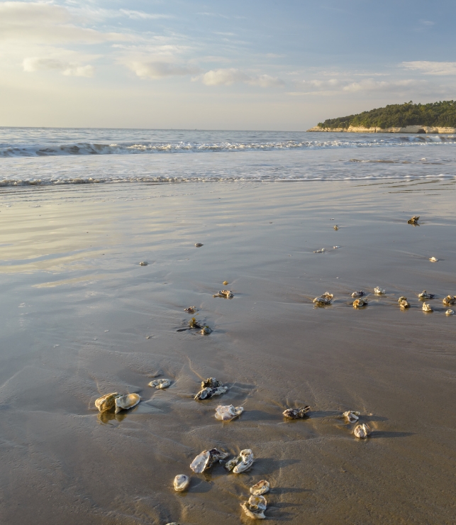 plage charente maritimes
