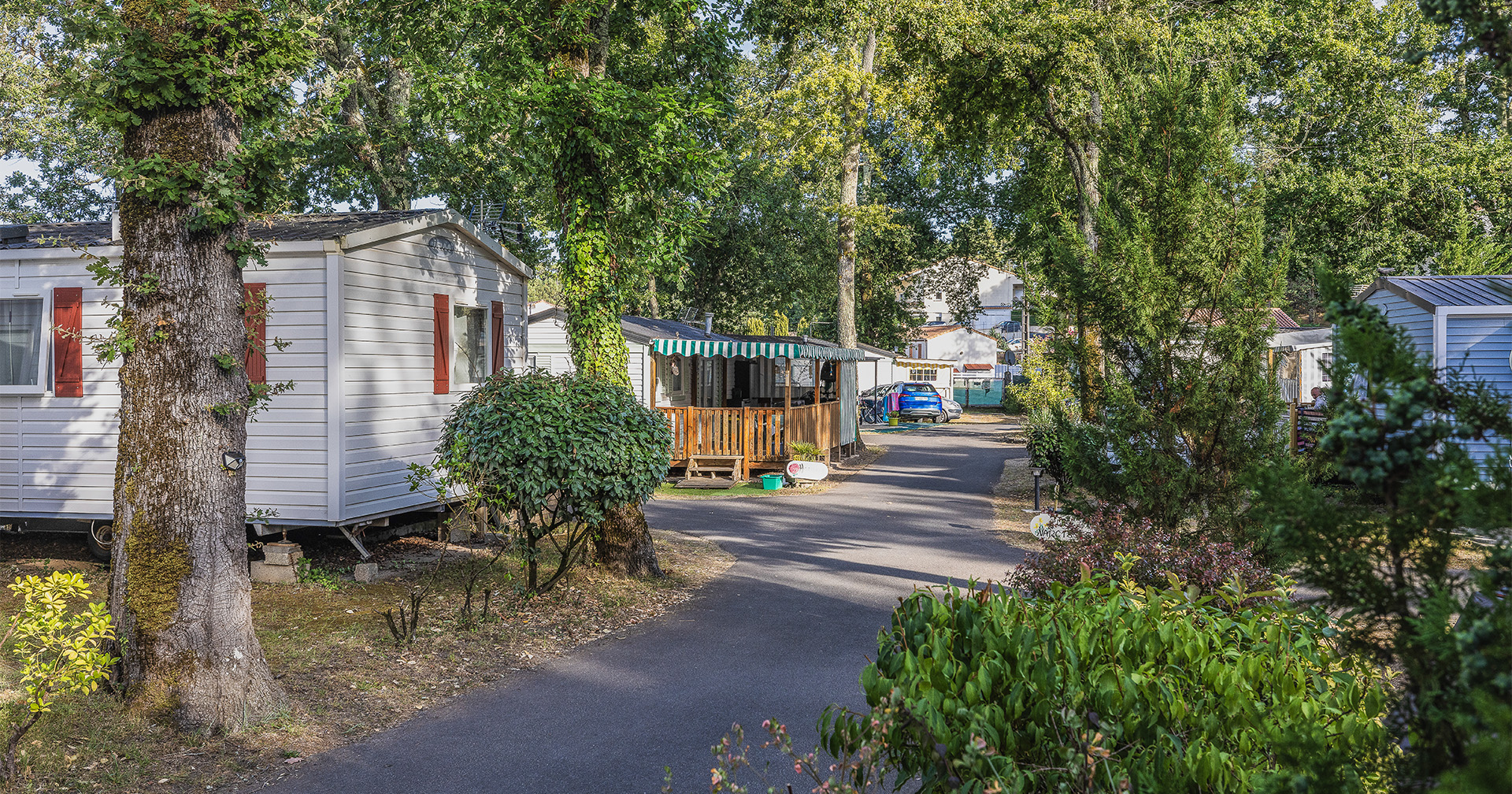 camping le blayais alicat legal notice